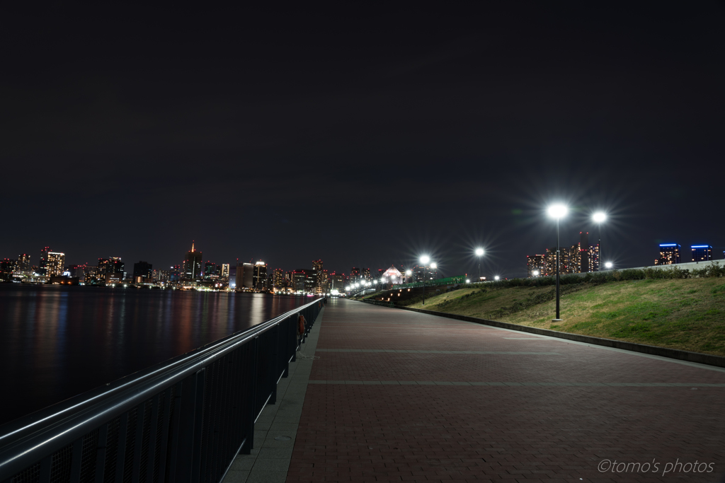 豊洲ぐるり公園の夜_2