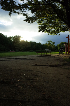 昼下がりの公園