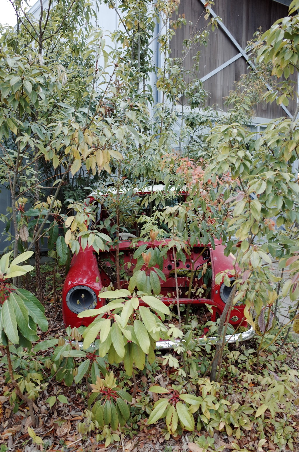 廃車
