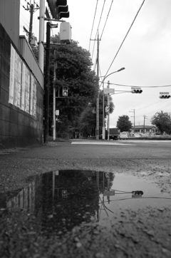 雨上がりの道