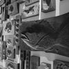 魚群