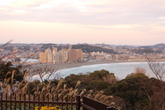 江の島２