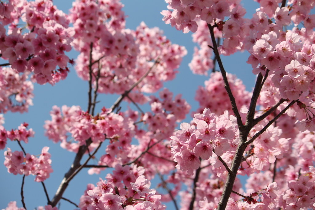 春空