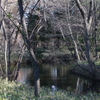 神代植物公園 (11)