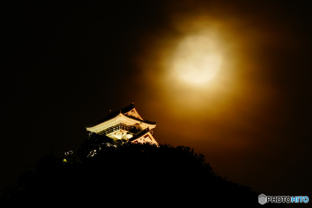 岐阜城と月ヨコ２DSC05697