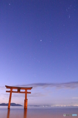 薄明のシリウス（白鬚神社）IMG_2527
