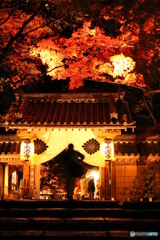 永源寺総門IMG_1124