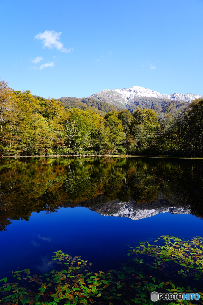 刈込池DSC00124