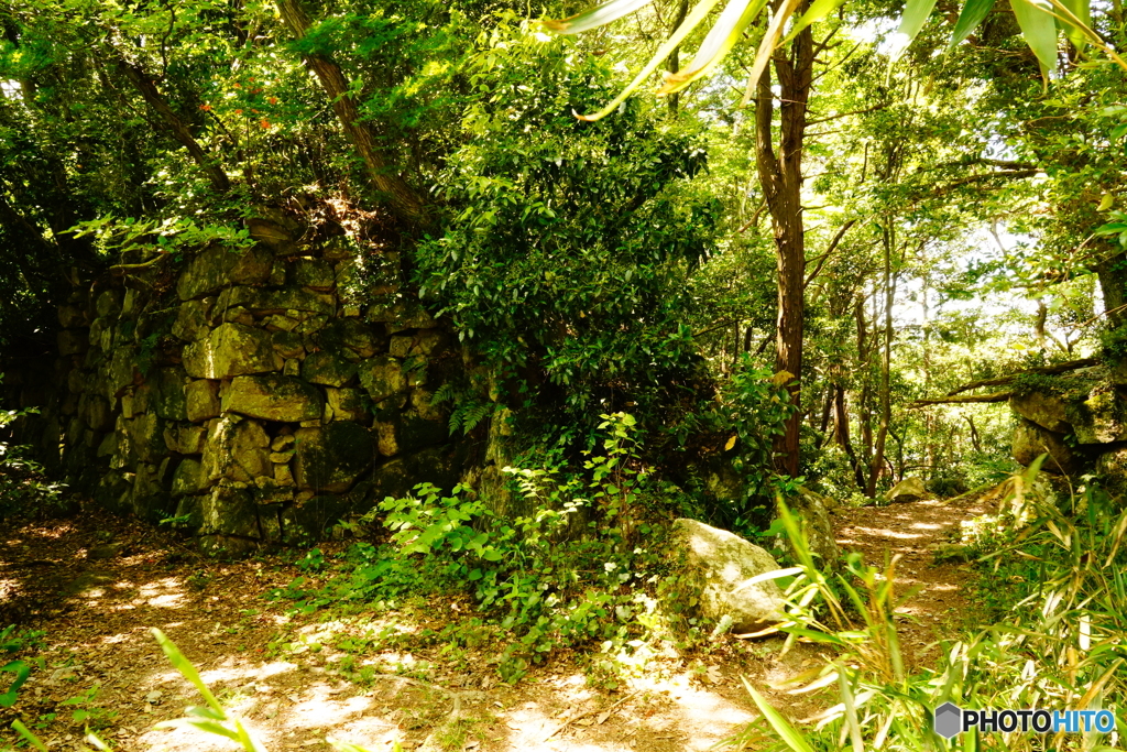 観音寺城本丸跡DSC02394