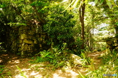 観音寺城本丸跡DSC02394