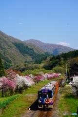 勝原駅DSC00978