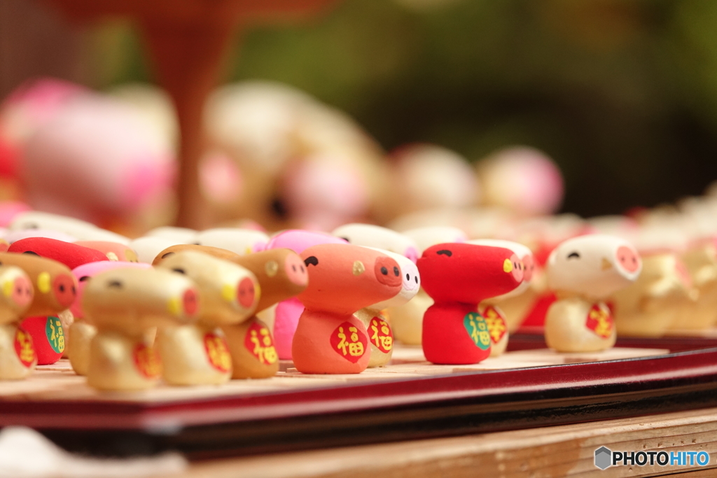 いのししさんたち（香嵐渓広場）DSC08417