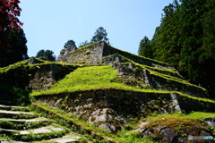 岩村城跡本丸（六段の壁）DSC02305