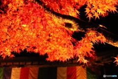 紅葉と五色幕（永源寺）IMG_1163