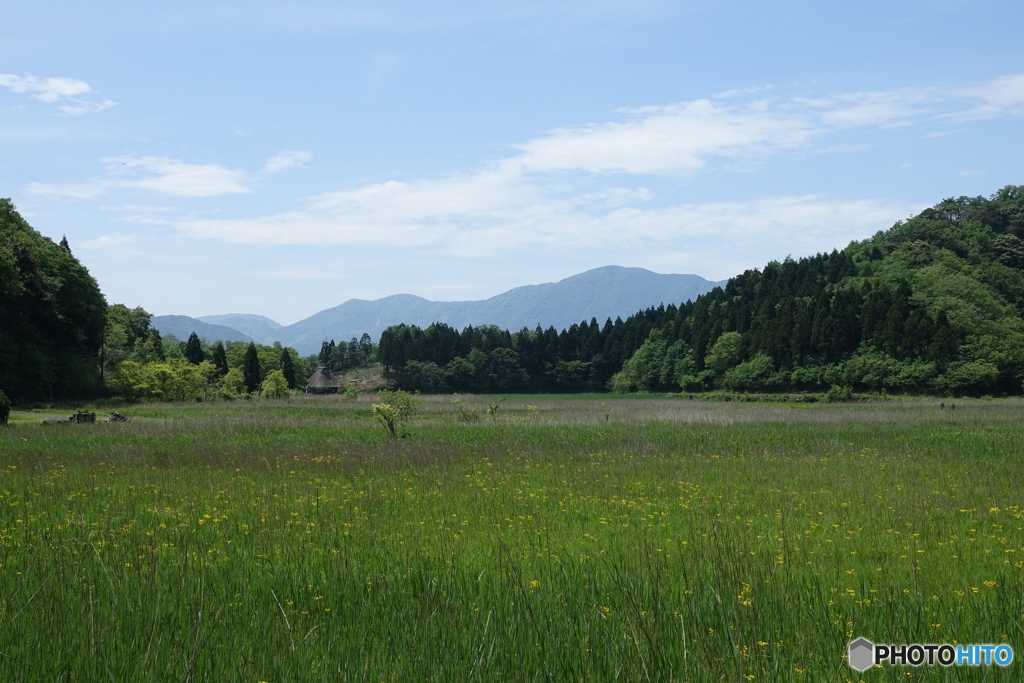 中池見湿地全景DSC04543