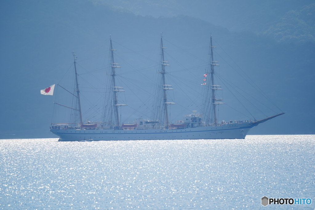 日本丸出港（敦賀）DSC06193