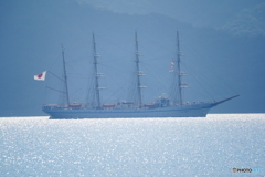 日本丸出港（敦賀）DSC06193