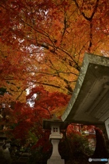 長野市清水寺の紅葉④