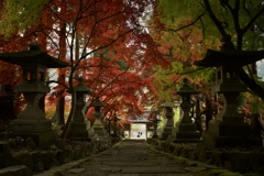 長野市清水寺の紅葉②