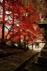 長野市清水寺の紅葉①