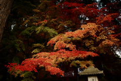 長野市清水寺の紅葉③