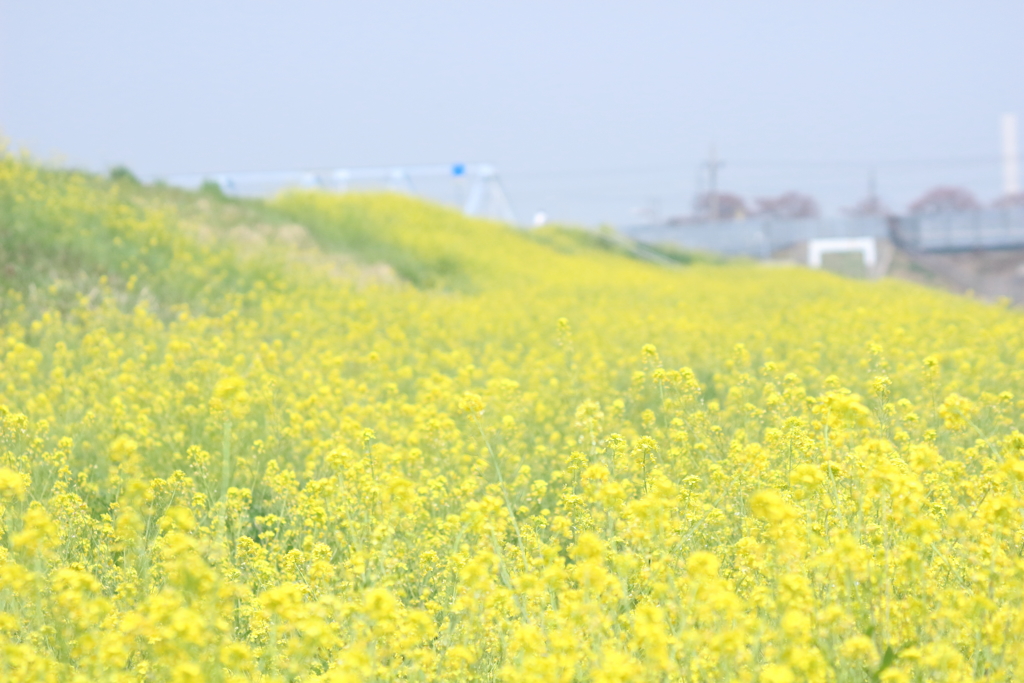 いい天気