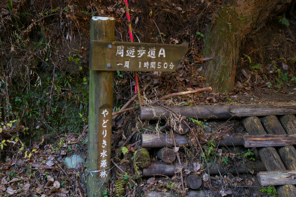 寄のハイキング入り口