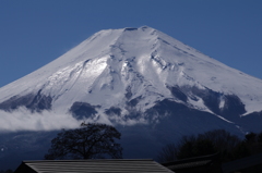 忍野八海からの富士山