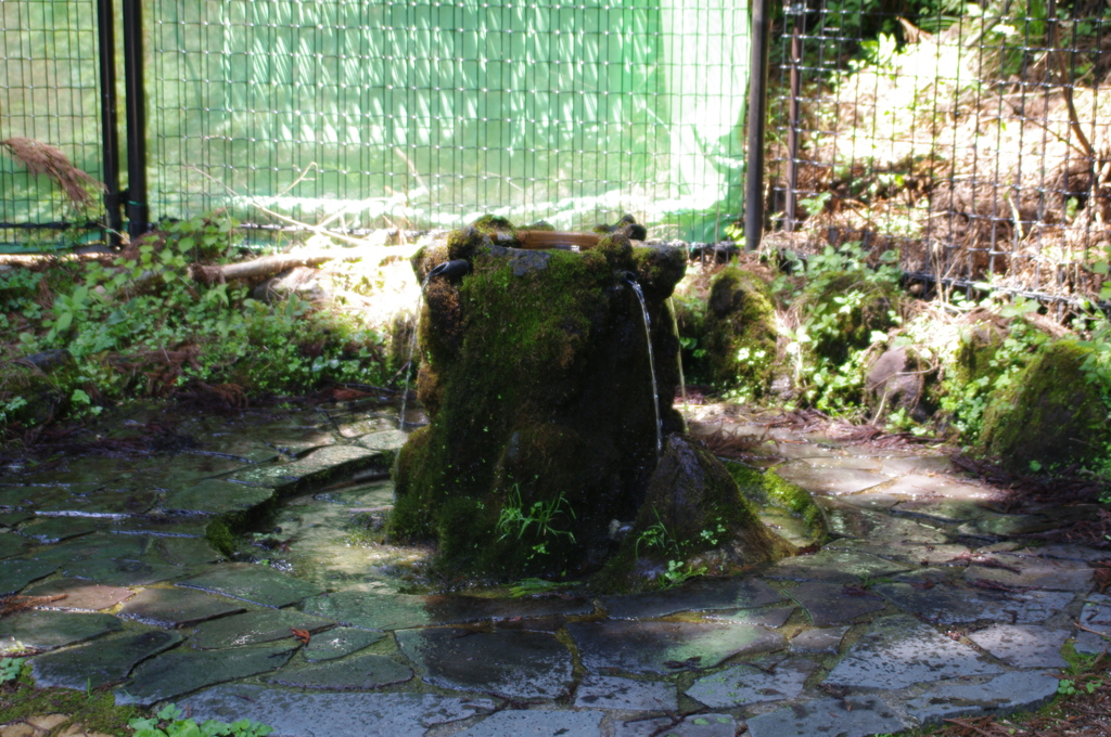 ヤビツ峠周辺の湧き水