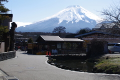 忍野八海と富士山