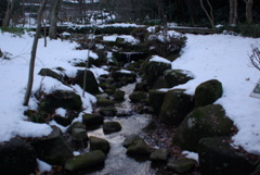 東高根森林公園