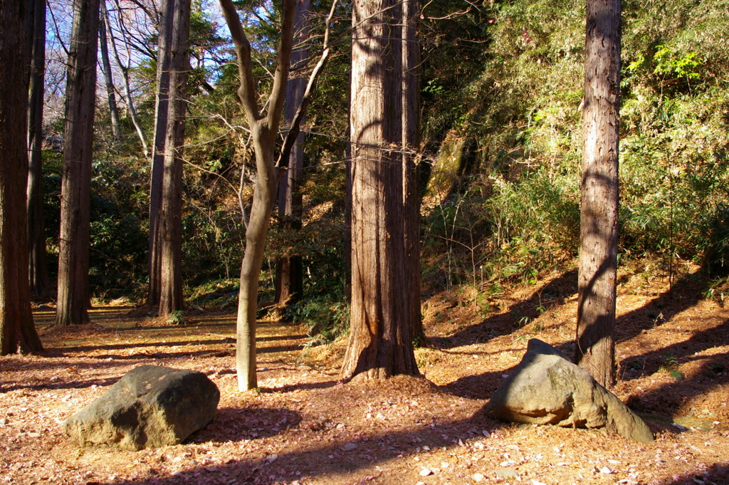 生田緑地