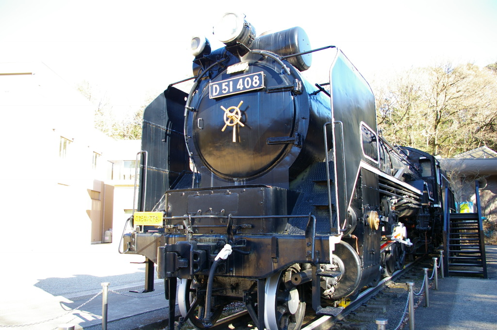 生田緑地内のD51