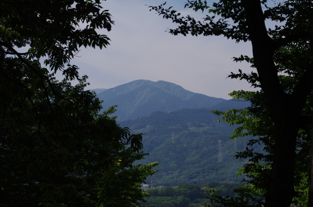 弘法山からの眺め