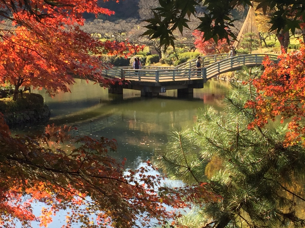 薬師台公園の紅葉と橋