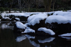 東高根森林公園