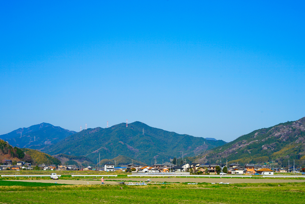 田園