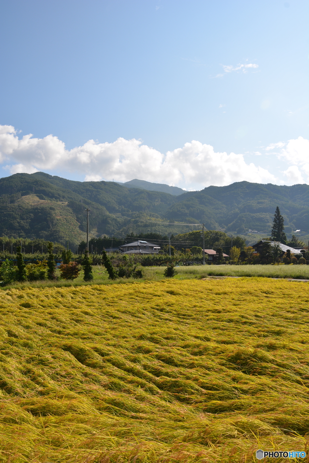 陣馬形山 ふもと