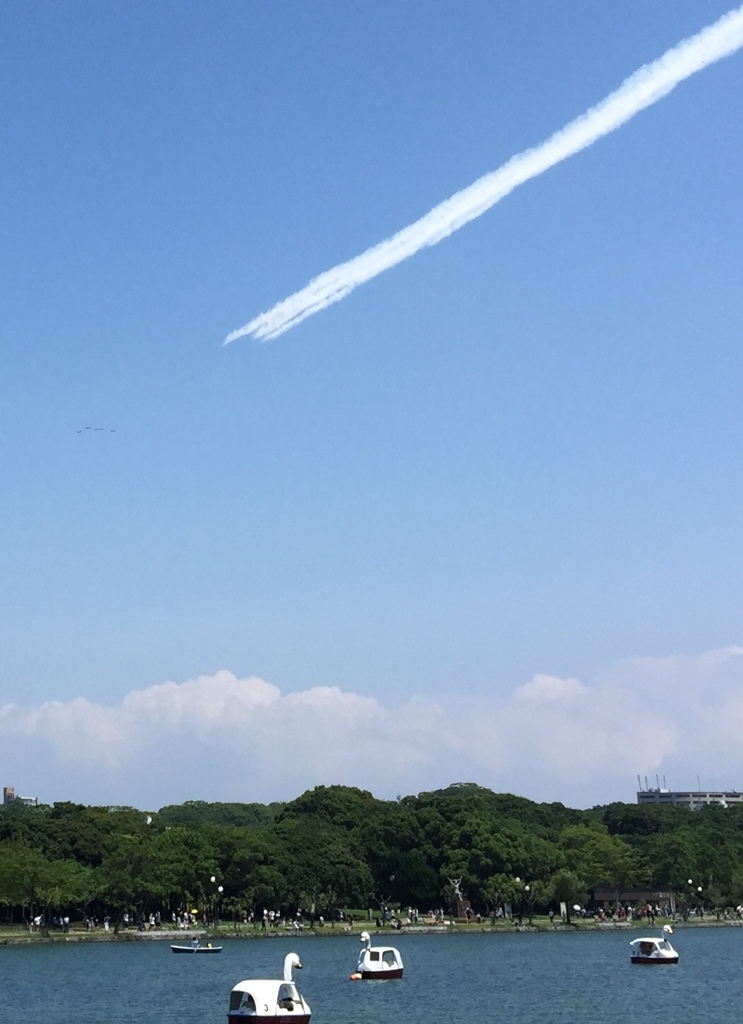 福岡大濠公園の夏