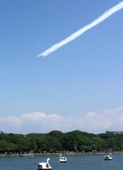 福岡大濠公園の夏