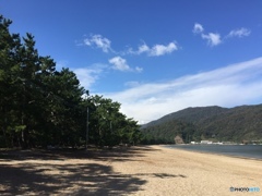 白砂青松 秋の晴