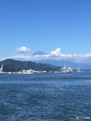 旅姿一人駿河湾