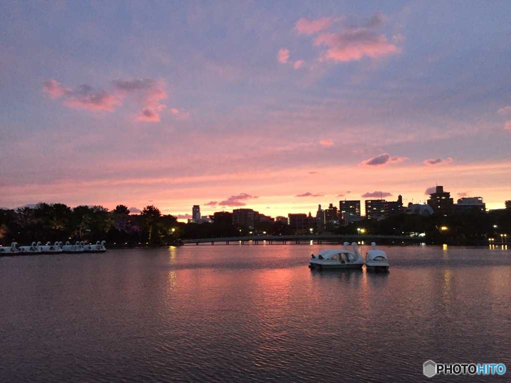 夕焼け雲に誘われて