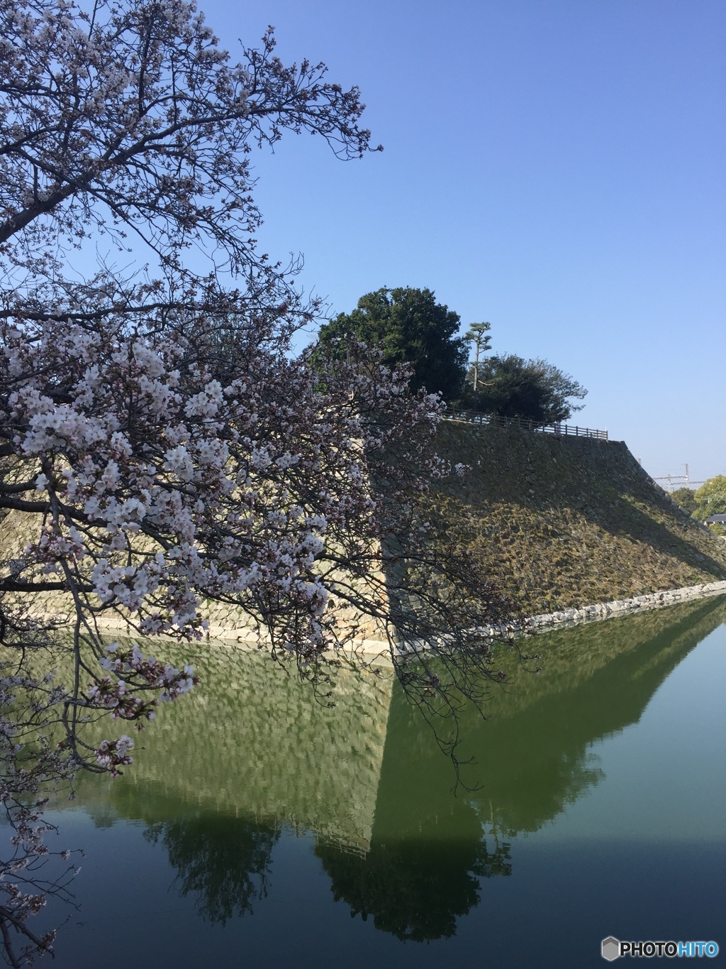 浮城の春