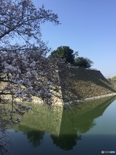 浮城の春
