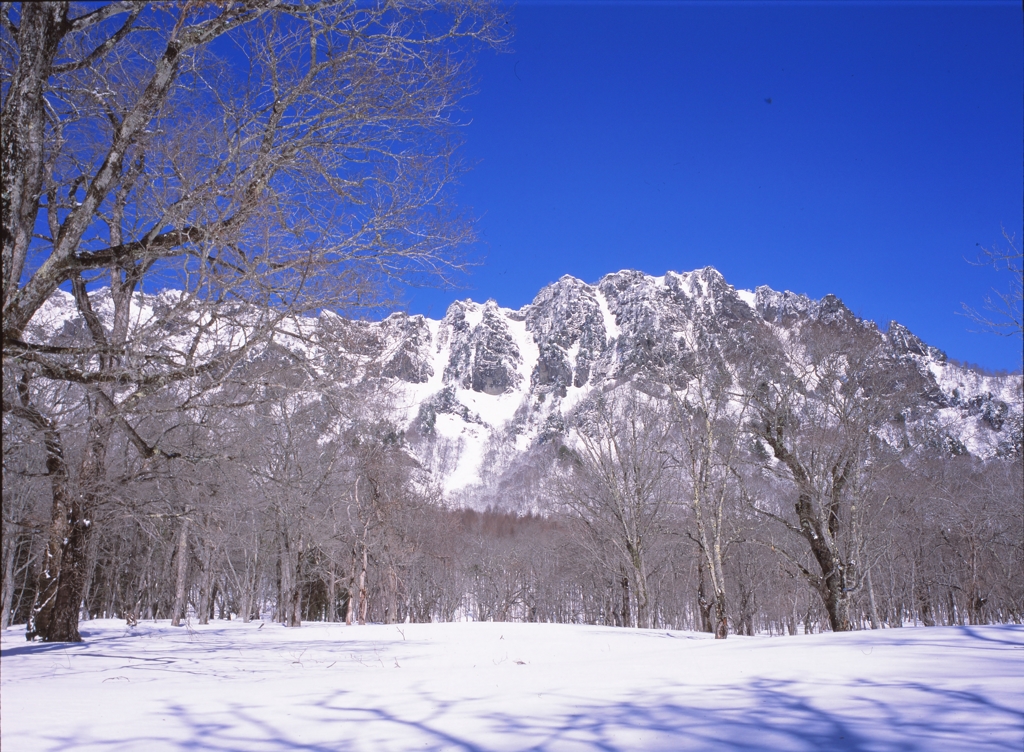 春を待つ　戸隠山