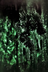 深緑の氷柱
