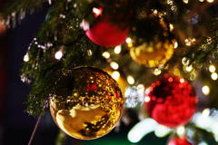 ツリーとミュンヘンクリスマス市