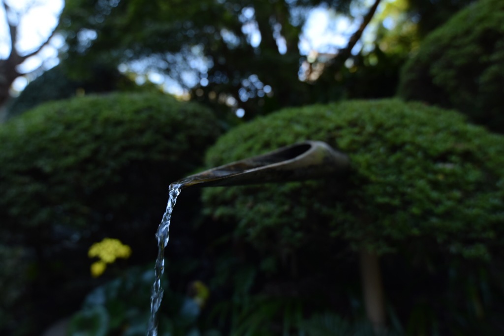 鎌倉報国寺より「静寂」