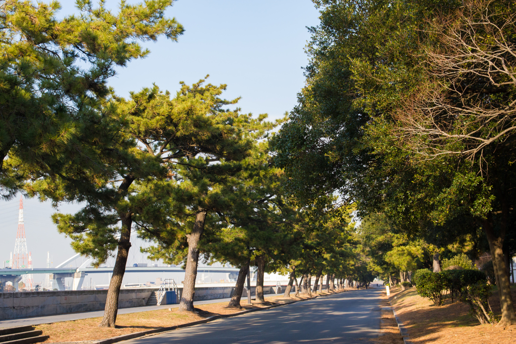 浜寺公園
